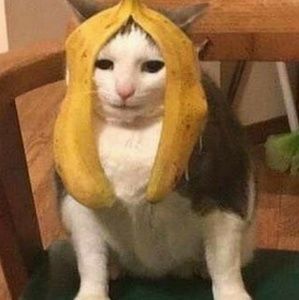 Meet your Posher, Christian